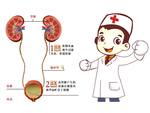 泌尿结石